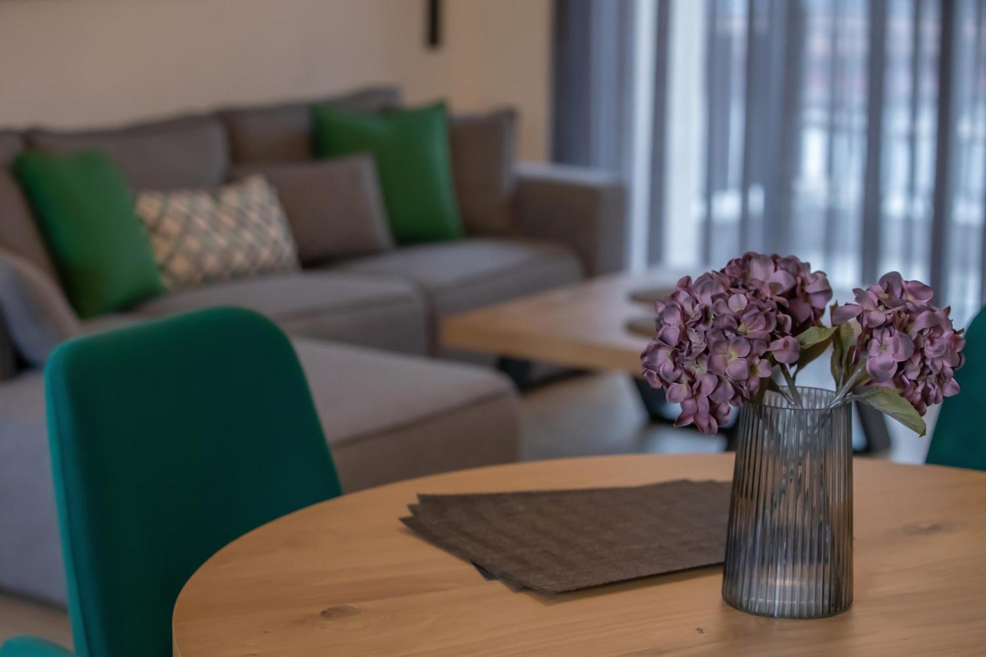Element Suites - Green - Apt 1Bd - Kalampáka Eksteriør bilde